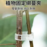 在飛比找蝦皮購物優惠-植物扶蔓夾 塑膠直線上升固定夾 藤蔓西紅柿產量支架