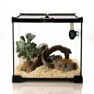 爬寵盒爬蟲雨林缸保溫箱守宮蜥蜴角蛙寄居蟹玻璃飼養缸