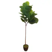 Tall Artificial Fiddle Leaf Fig 170cm
