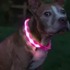 Pink Glow in the Dark Dog Collar Rechargeable LED Safety Light Adjustable Size