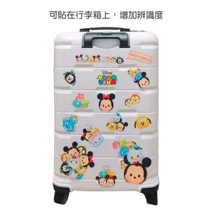 Disney 迪士尼 奇奇蒂蒂 防水貼紙 台灣製造 行李箱貼 裝飾貼紙 HLY-972 菲林因斯特