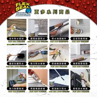 美國FLEX SHOT速效填縫膠（亮黑色／附噴嘴）