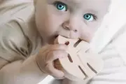 My Little Giggles Monstera Leaf Teether / Baby Teething Toy