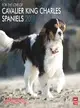 For the Love of Cavalier King Charles Spaniels 2011 Calendar