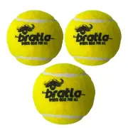 Pro Tennis Balls for Cricket - Lightweight Cricket Ball Tennis Ball for Tape ...