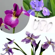 3Pcs Set Stainless Steel Irises Cookie Cake Fondant Sugarcraft Cheese Cutter