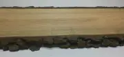 Persimmon Wood (WHITE EBONY) Live Edge Slab 1" Thick 8-10"Wide Planed SHIPS FREE