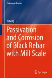 在飛比找博客來優惠-Passivation and Corrosion of B