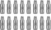 16 Pieces Hydraulic Valve Lifter Rocker Tappet Set 420009810 Engine Hydraulic Roller Valve Lifter Kit Replacement for Seat Altea Arosa Cordoba Ib!za Le0n Toledo