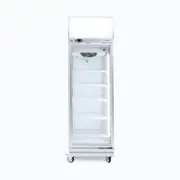 Bromic Refrigeration Bromic Upright Display Fridge Flat Glass Door 444L LED GD0500LF - Commercial Drink Fridges (BR-3736245) - 3736245-BR