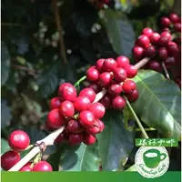 在飛比找蝦皮購物優惠-宏都拉斯-人道農莊 公平交易  友善鳥類 半磅咖啡豆 有機咖