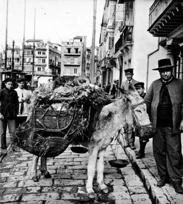 Spanish Fruit Seller With His Donkey, circa 1930 Old Historic Photo