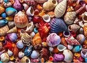 HUADADA Jigsaw Puzzles for Adults 1000 Pieces Jigsaw Puzzle for Adults Interesting Toys Brain Teaser Jigsaw Puzzles Birthday Graduation Gifts, Impossible Puzzle, Challenging Game - Colorful Conch
