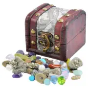British Fossils Treasure Chest Pack Science Paleontology Model Dig Figures Kids