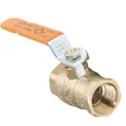 Jain Full Port Brass Ball Valve
