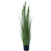 Flowering Native Grass 120cm