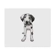 2 x 'Harlequin Great Dane Puppy' Lens Cleaning Cloths (LC00026710)