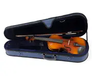 Raggetti RV2 Violin Outfit in Case -1/10