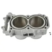 RZR / RZR 4 / EPS 2014 Polaris Standard Bore Nikasil Cylinder 60001