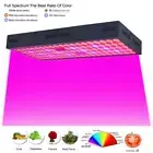 5000W LED Grow Light Hydroponic Full Spectrum BLOOM Veg Plant Lamp&Panel Flower
