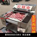 【台灣公司保固】全自動剁雞塊機小型多功能五花肉豬蹄排骨凍五花切塊機商用廚房