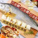 在飛比找遠傳friDay購物優惠-【好味市集】深海巨型大黃魚(500G~600G)