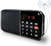 Mini Mini FM Radio with Car Search, Built-in Rechargeable Battery and MP3 Playback via USB/TF Card, Pocket Size Radio for Camping, Walking and Travel (Black)