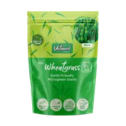 Untamed Health Wheatgrass Microgreens Seeds 50g