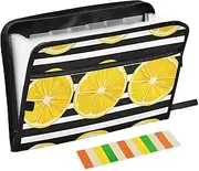 Quteprint 13 Pockets Expanding File Folder with Zipper Closure, Lemon Stripe Pattern Accordion File Folder with Sticky Labels, Letter Size A4 Papers Expandable File Document Organizer