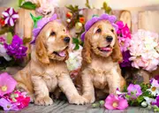 Enjoy - Spaniel Puppies with Flower Hats Puzzle 1000pc