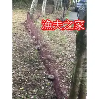 在飛比找蝦皮購物優惠-[漁夫之家] 居家防護網 / 捕蛇網 / 防蛇網 / 防鳥網