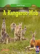 A Kangaroo Mob