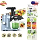 Dishwasher Safe Masticating Juicer with Three Speeds & Quiet Motor for Home Use