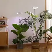 Plant Grow Light Floor Lamp Floor Model Full Spectrum Sunlight Large Potted Plant Fill Light 3/9/12 Hours Timing 10 Levels Dimming Black 72 Beads Au Plug