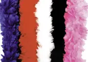 6' Deluxe Turkey Feather Boa