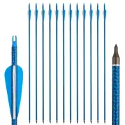 6/12pcs 30" Carbon Arrows Compound Recurve Bow Archery Hunting Target Spine 500