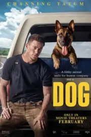 Dog Drama Comedy Road Movie Tatum Carolin Suplee Nash 2022 Poster No Frame