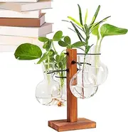 Glass Planter with Stand - Desktop Hydroponics Air Planter Holder | Modern Air Planter Bulb Glass Vase with Wooden Stand Bulb Beaker Glass Vase for Hydroponics Plants Znet-au