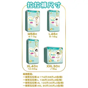 Pampers 幫寶適 一級幫拉拉褲-M／L／XL／XXL 1箱裝【新高橋藥局】多款可選／限宅配／尿布 褲型紙尿褲