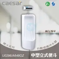 在飛比找蝦皮購物優惠-含稅 附發票《中部免運》CAESAR凱撒 U0296/A64