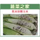 【蔬菜之家】G04.糯玉米(黑美珍)種子15顆 種子 園藝 園藝用品 園藝資材 園藝盆栽 園藝裝飾