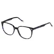 [Le Specs] FORMENTERA | BLUE TORT