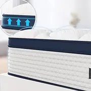 [FLEXPEDIC] Deep Sleep Queen Mattress 10 Inch in a Box, Cloud Euro Top Soft Hybrid Mattress Made in USA, Memory Foam Pocket Innerspring Mattresses, CertiPUR-US Certified