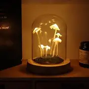 Mushroom Night Light LED Lamp in Glass Dome With Base for Home Decor, Wedding, Birthday Party, Valentine's Gift/274