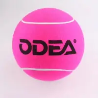 在飛比找Yahoo!奇摩拍賣優惠-Odea/歐帝爾正品 9寸簽名網球 紀念球上海大師賽簽名用球