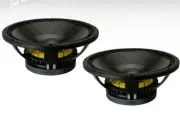 (2) B&C 15TBX100-8 15" Hi-Performance Subwoofer 2000W 8-Ohm Bass Woofer Speaker.