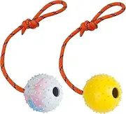 2 Pack Dog Ball, K9 Ball on Rope for Reward, Fetch, Play (7cm)
