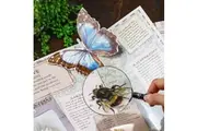Sherlock Magnifier Metal Magnifying Glass 75mm