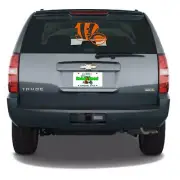 Cincinnati Duo Sports Teams - Bengals, Reds Custom Vinyl Decal
