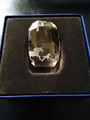 SWAROVSKI SCS 2014 Esperanza Horses Membership Renewal Paperweight NIB